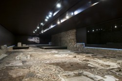 NL39 - spalla - FN - I-mosaici-della-Su¦êdhalle-di-Aquileia
