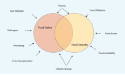 Interrelazioni tra food security e food safety