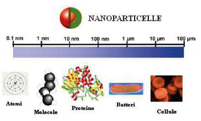 Risultati immagini per nanotecnologie e proteine